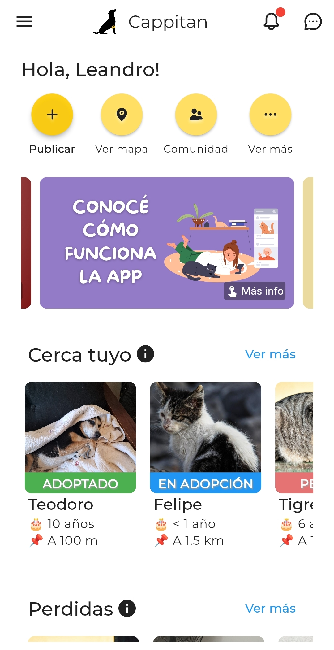 Pantalla principal de Cappitan